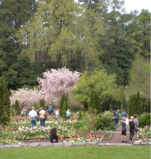 Blog Cover Image